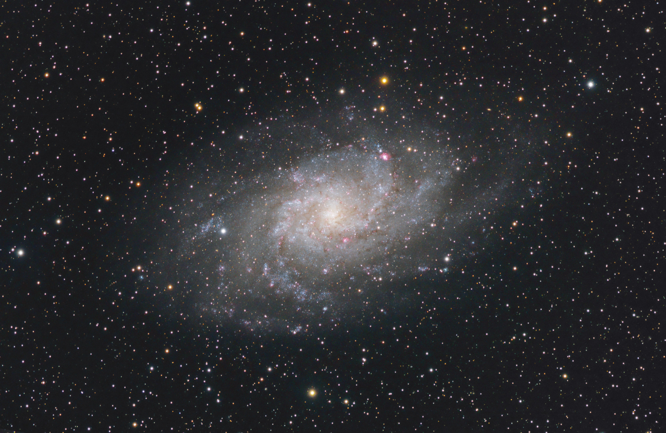 M33